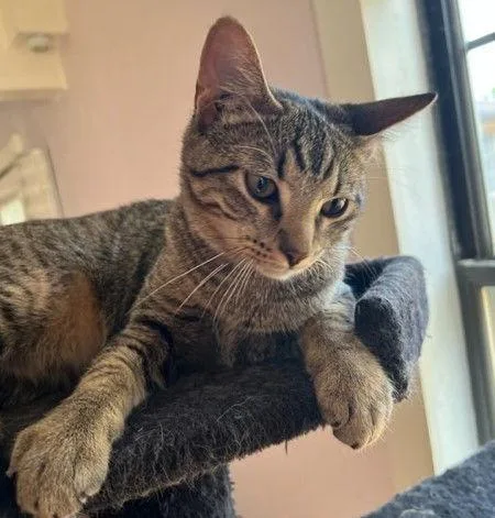 Fergus S. thumbnail 3