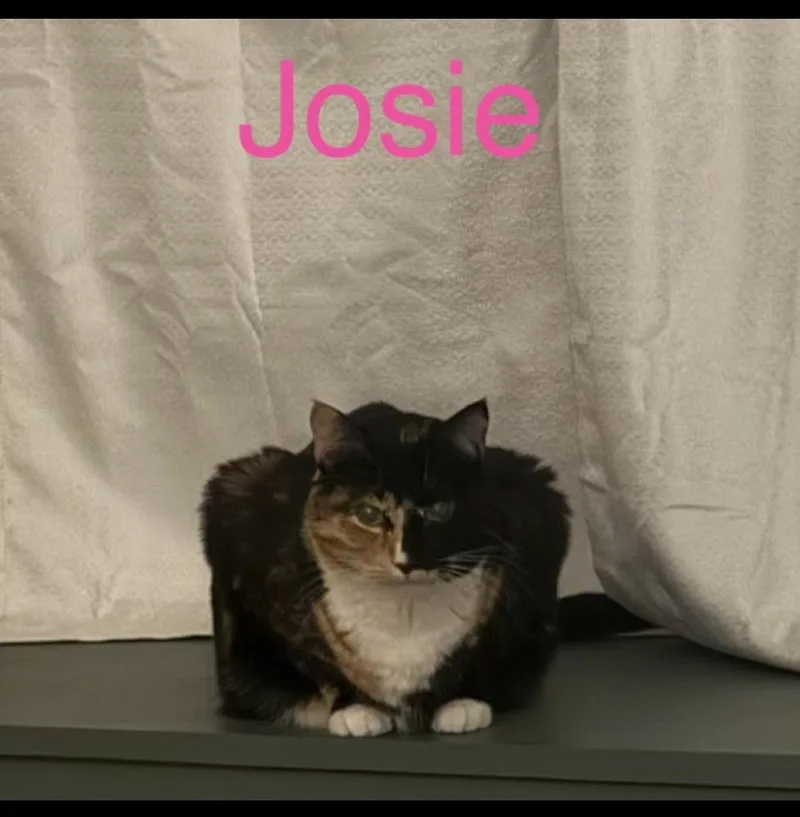 Josie