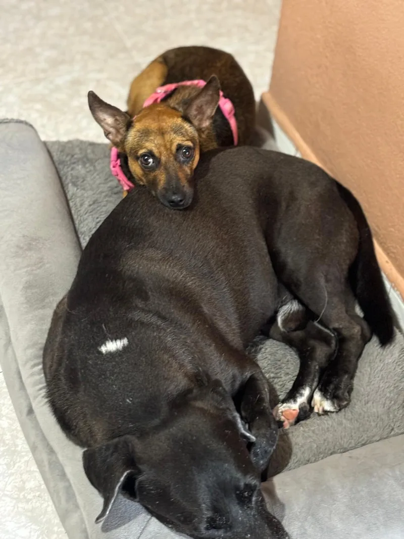 Lucia "can I Go thumbnail 2