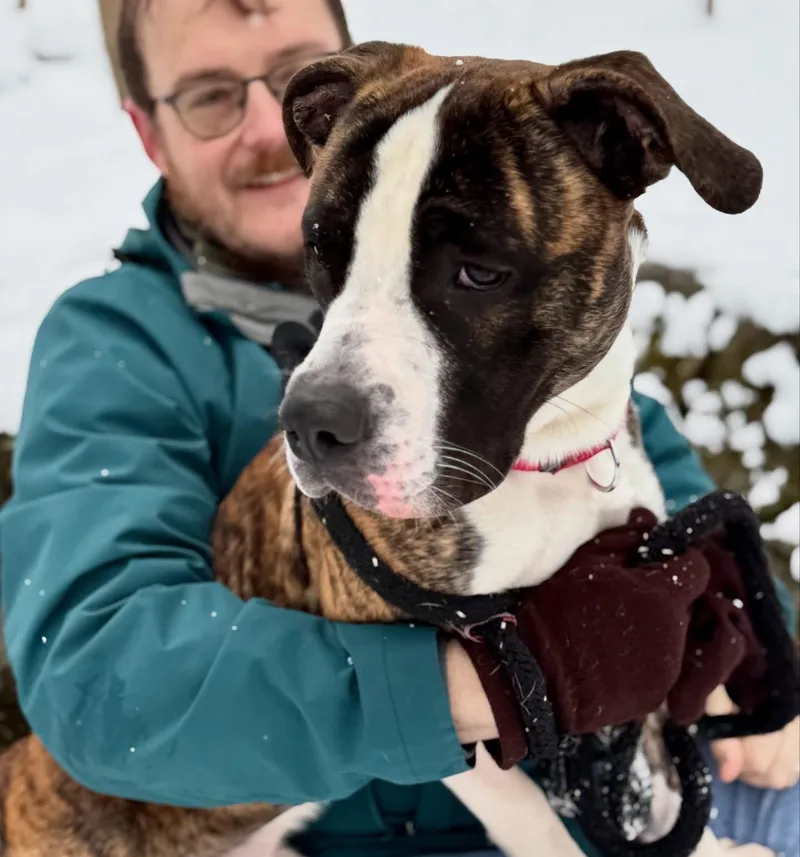 Sir Wiggleton thumbnail 4