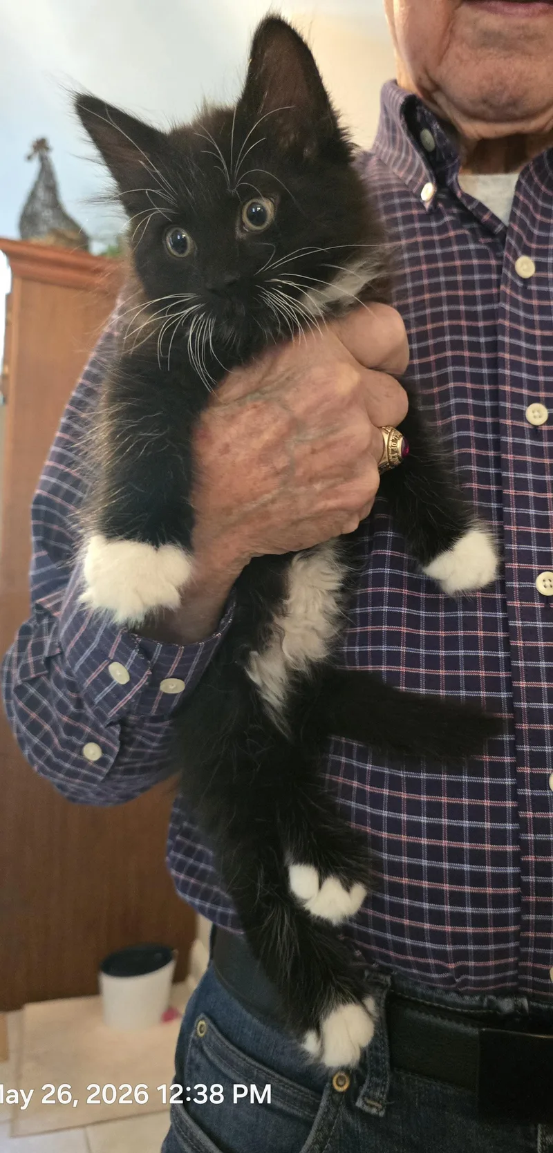Nilla Bean thumbnail 3