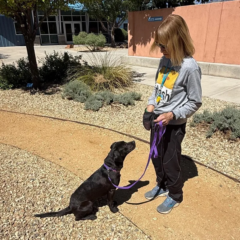 Charlotte thumbnail 2