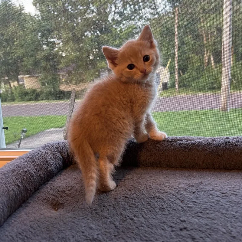 Fred