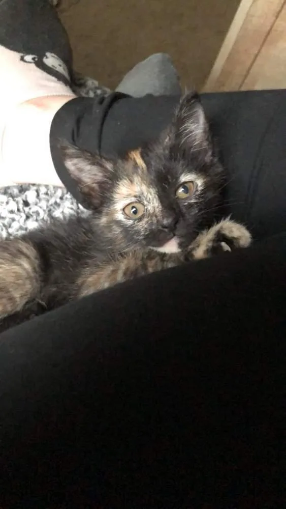 Josie S. thumbnail 2