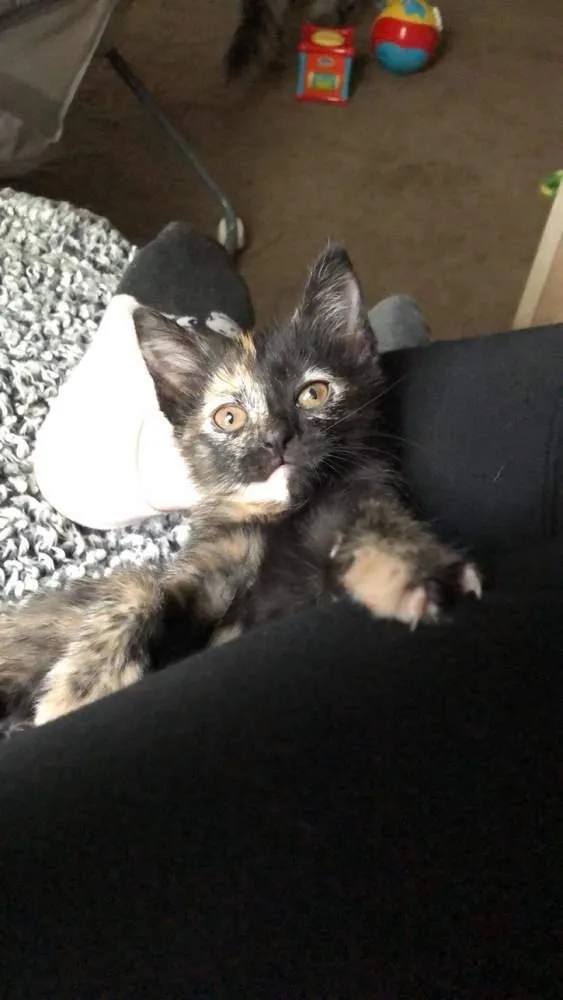 Josie S. thumbnail 4