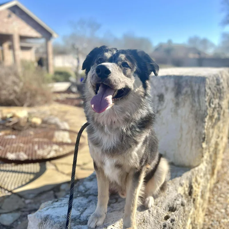 Buddy Mcbee thumbnail 4