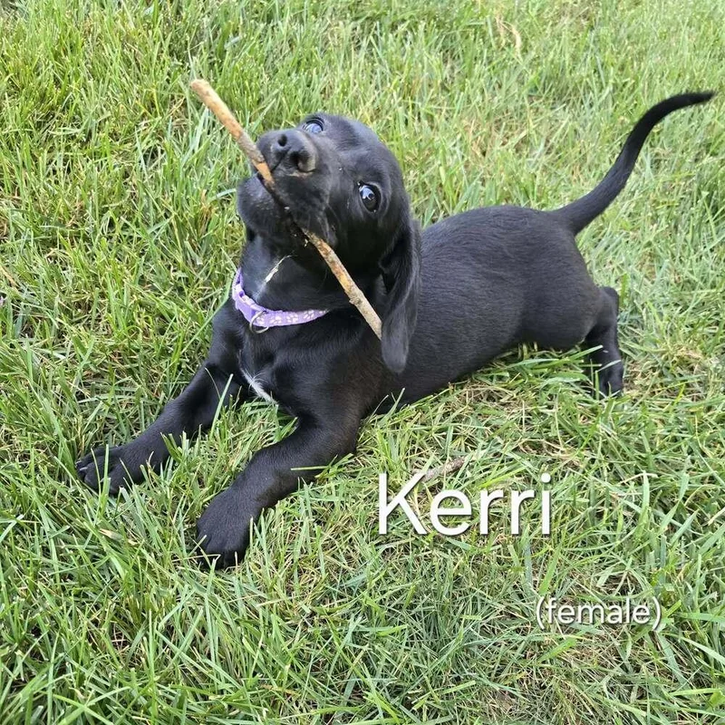 Kerri thumbnail 2
