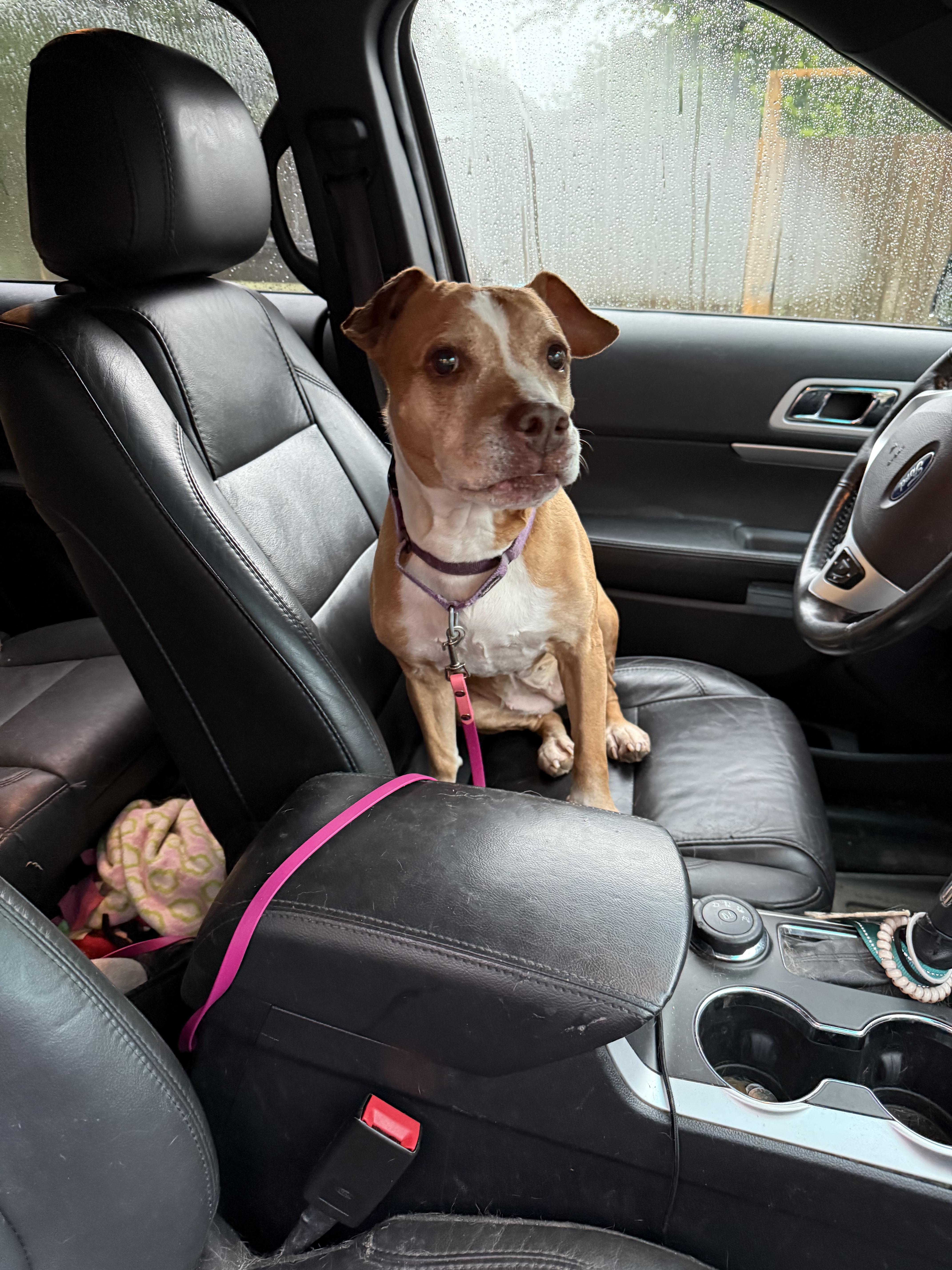 Princess thumbnail 2