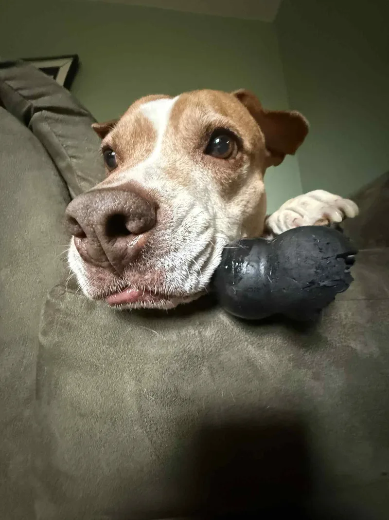 Princess thumbnail 3