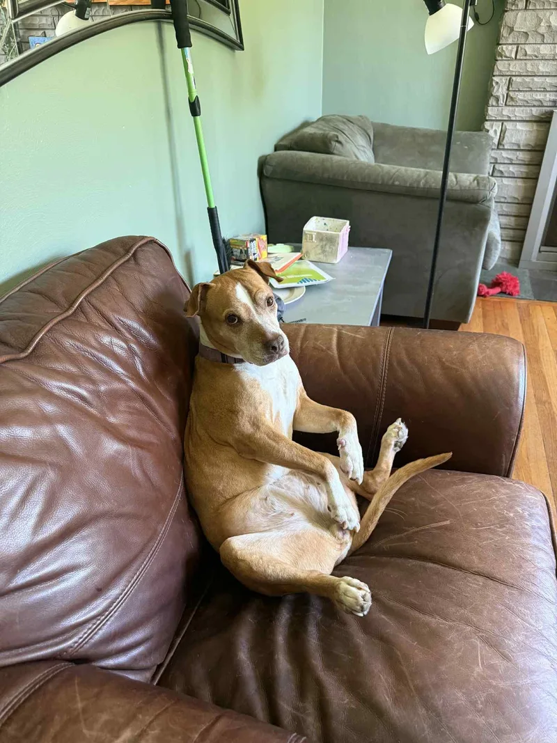 Princess thumbnail 6