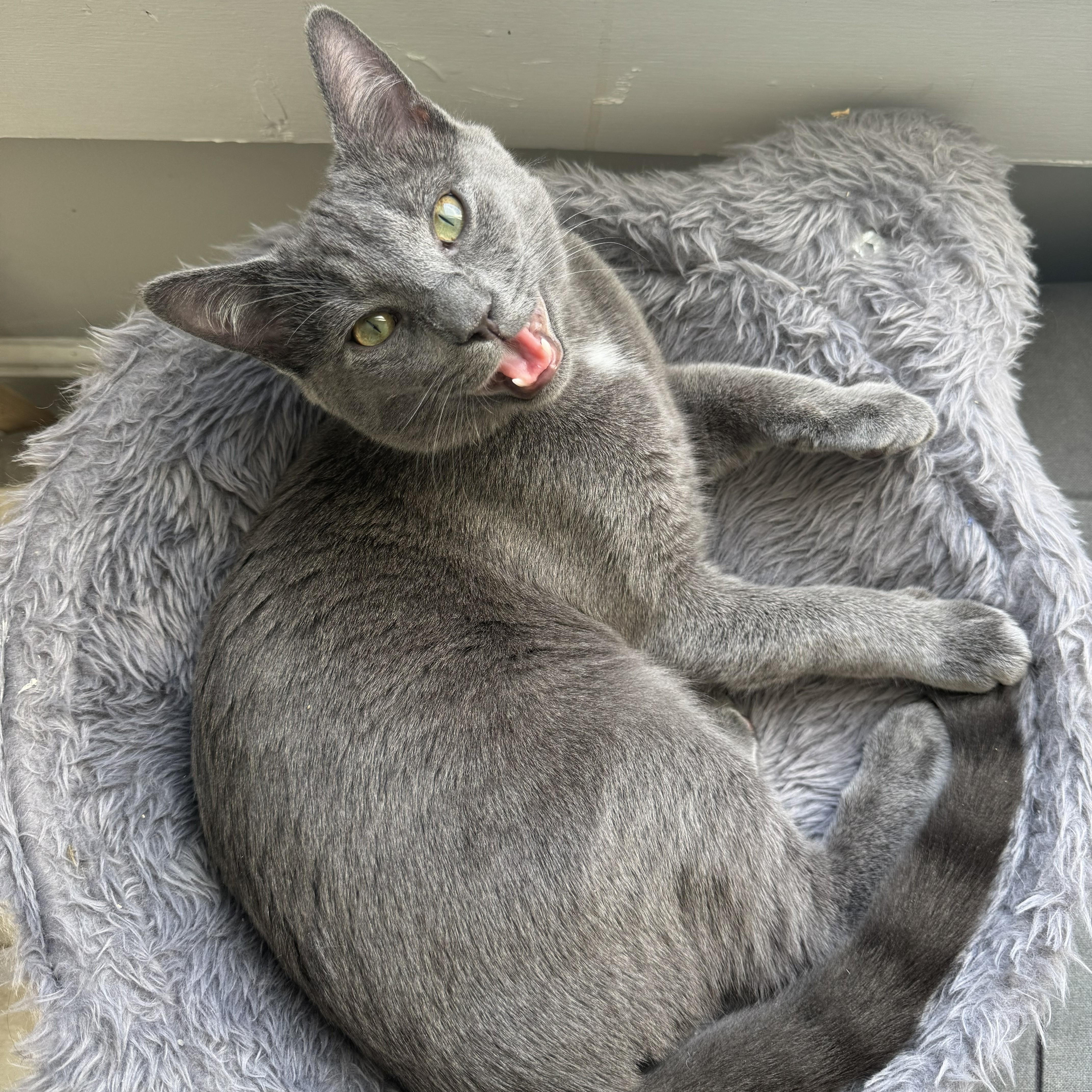 Doctor Who thumbnail 2