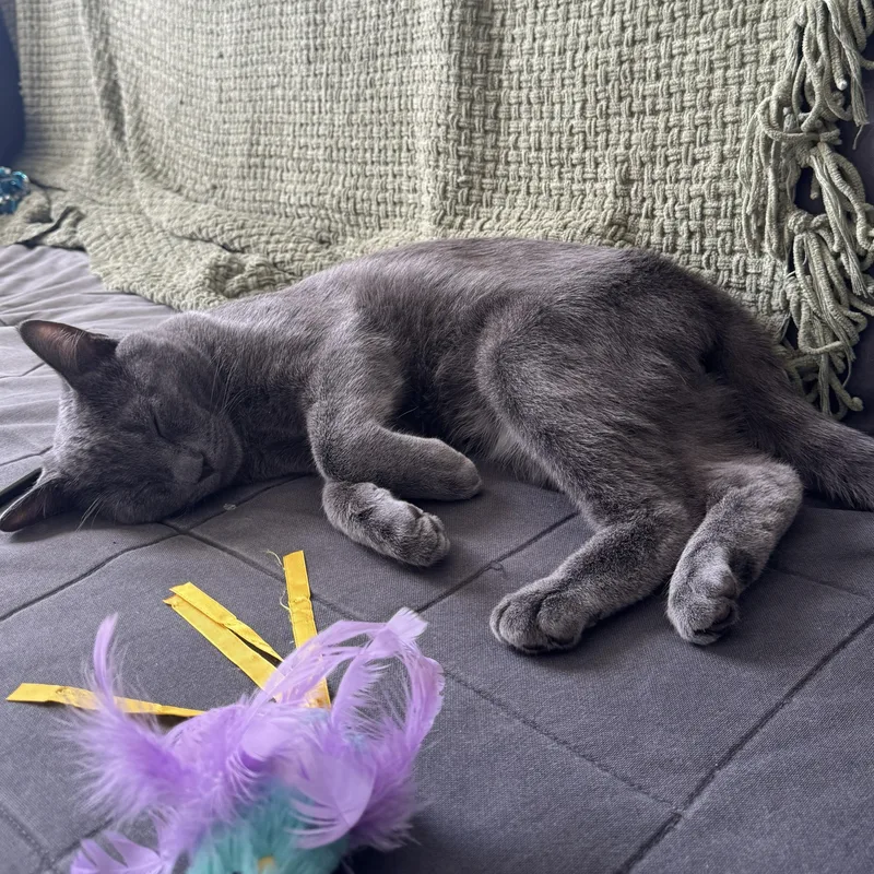 Doctor Who thumbnail 3