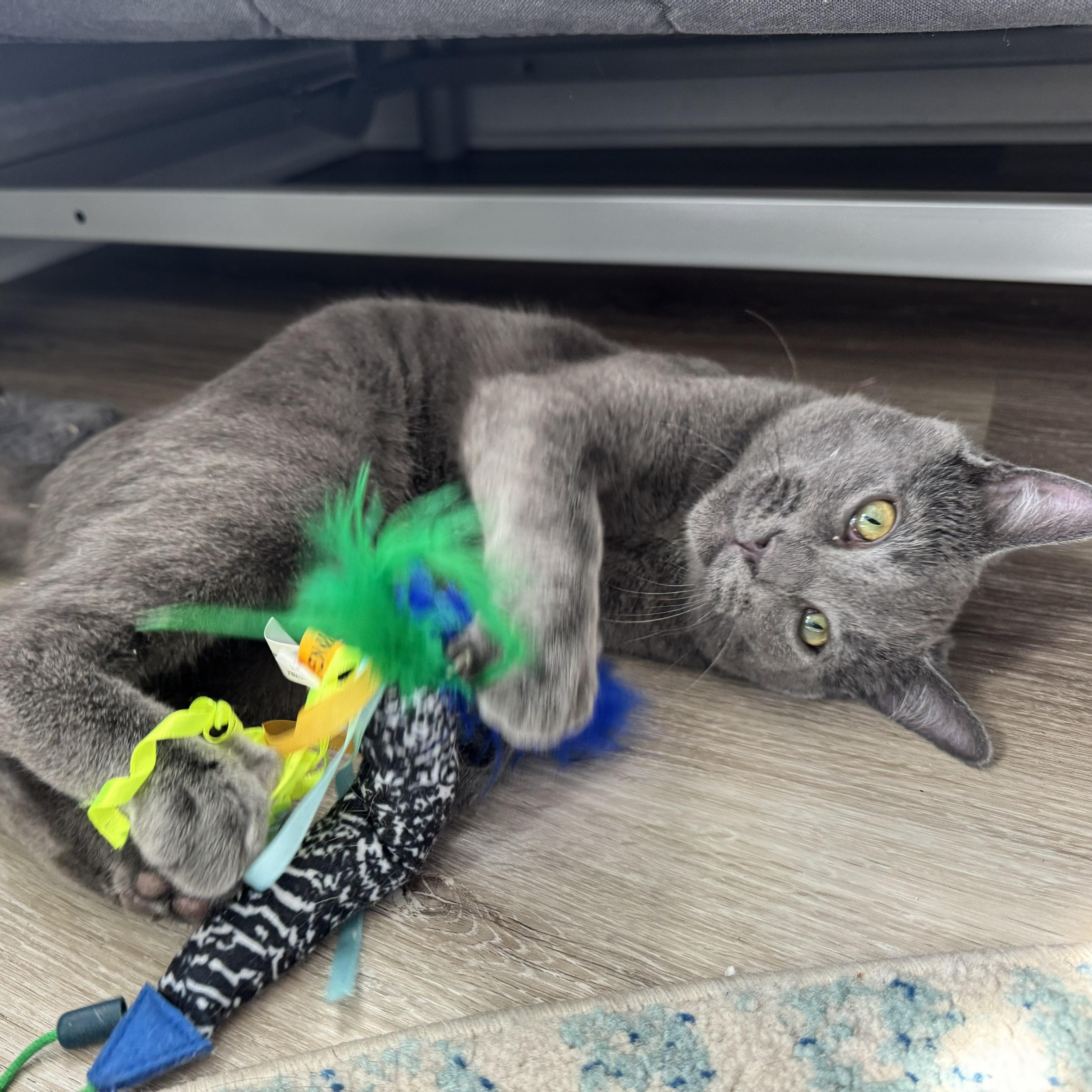 Doctor Who thumbnail 4