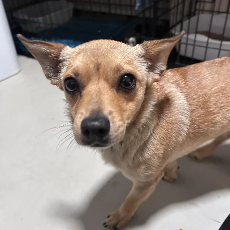 Summer Chino Hills Location thumbnail 2