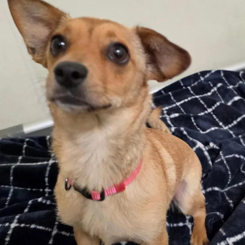 Summer Chino Hills Location thumbnail 3