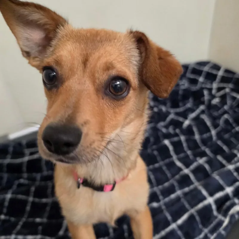 Summer Chino Hills Location thumbnail 4