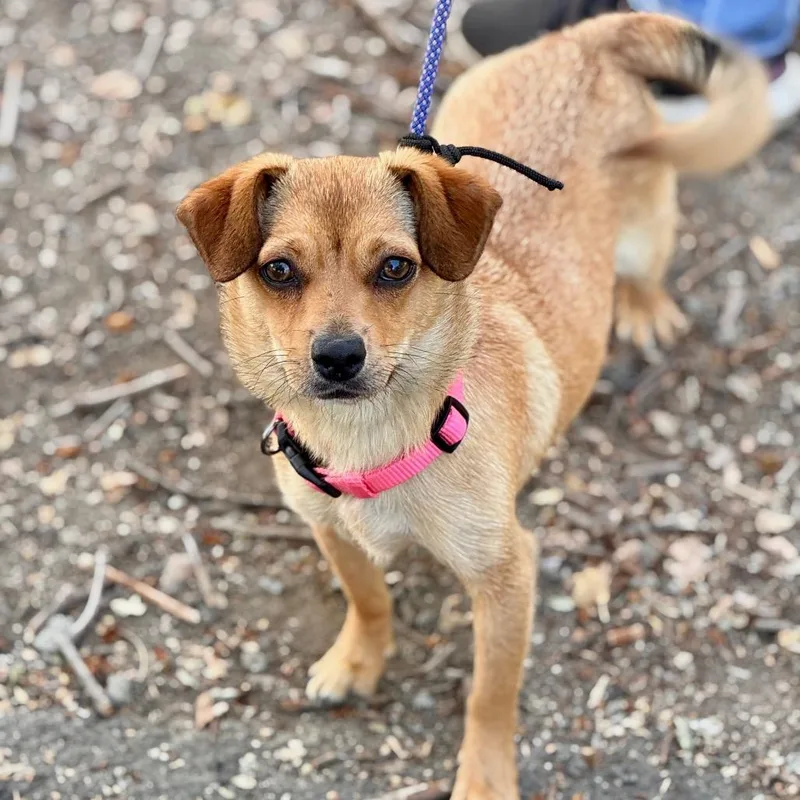 Summer Chino Hills Location thumbnail 5