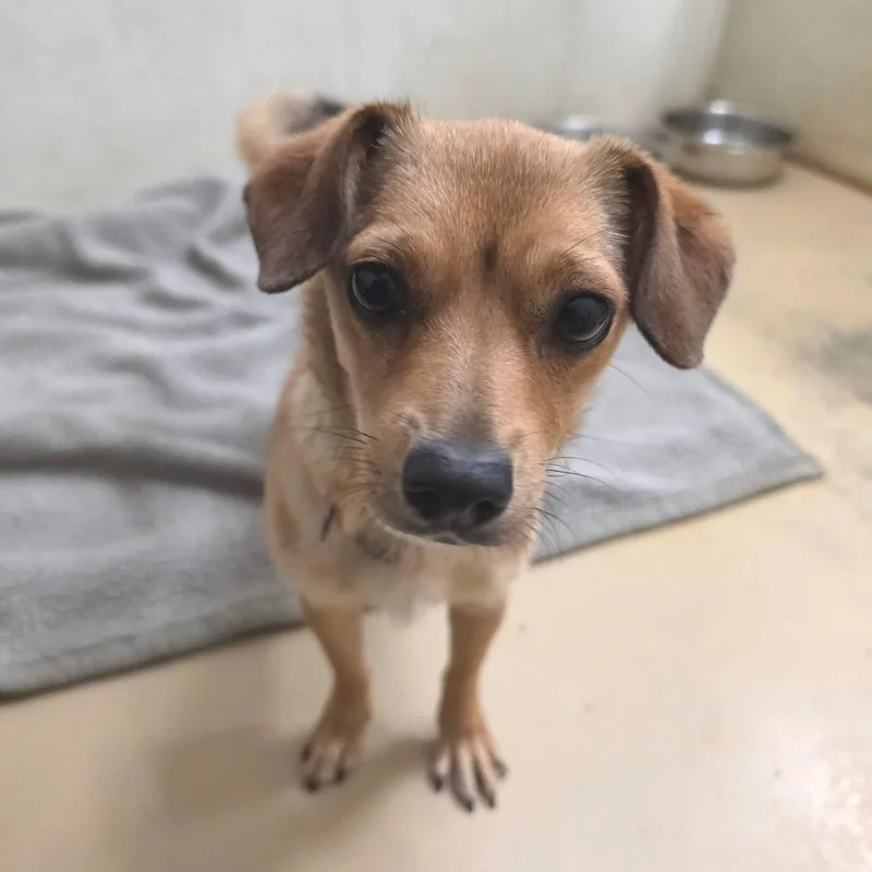 Summer Chino Hills Location thumbnail 6