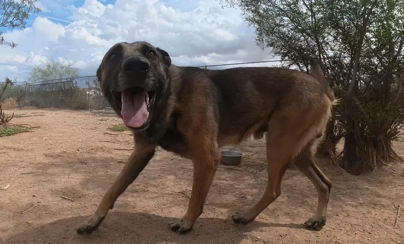 Max