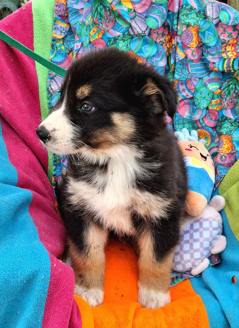 Mariko Wvt thumbnail 2