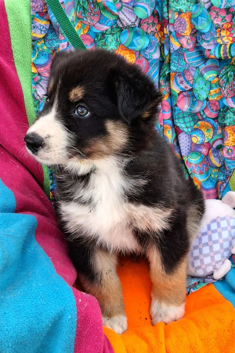 Mariko Wvt thumbnail 3