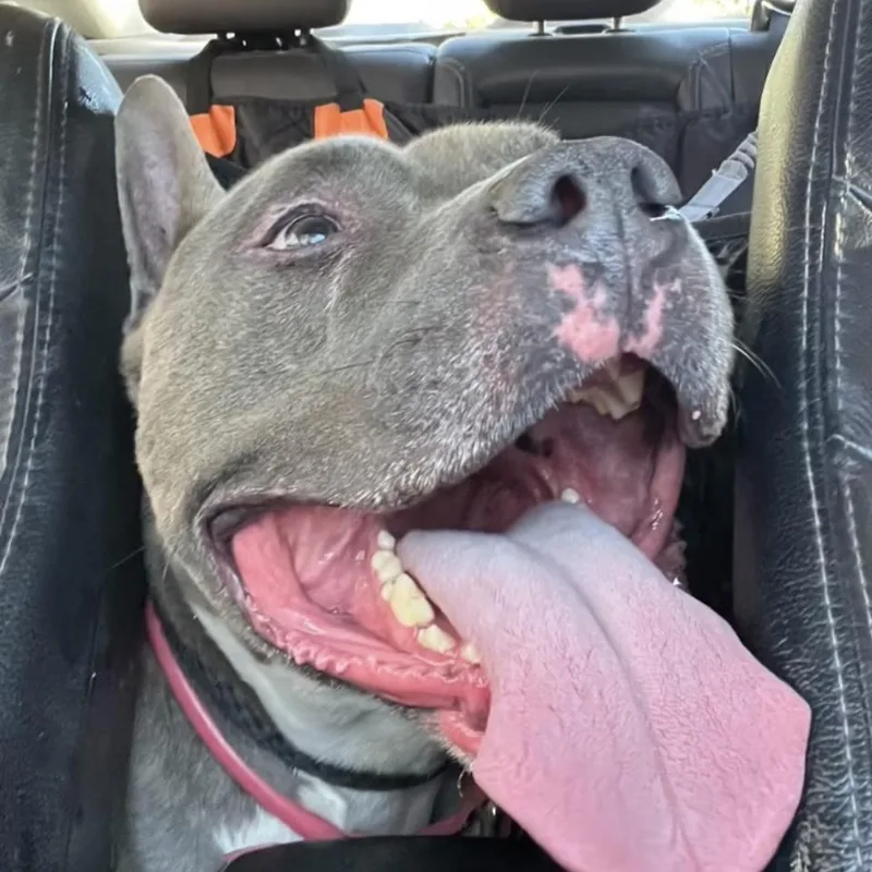 Irondale thumbnail 2