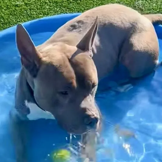 Irondale thumbnail 4