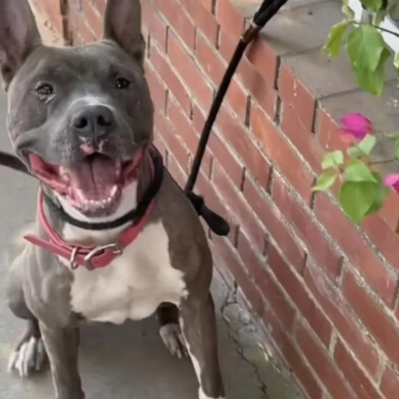 Irondale thumbnail 5