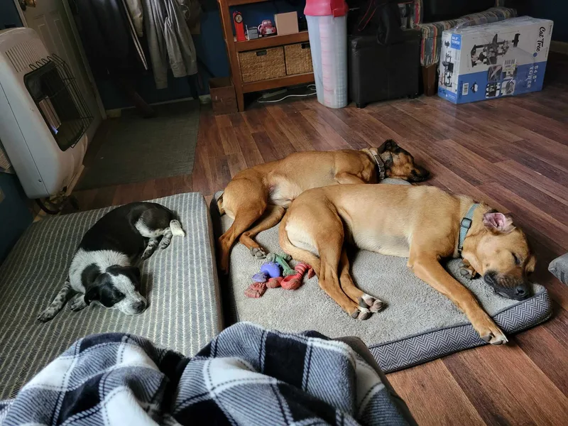 Luke Duke thumbnail 2