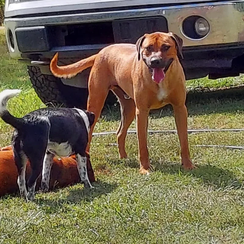 Luke Duke thumbnail 3