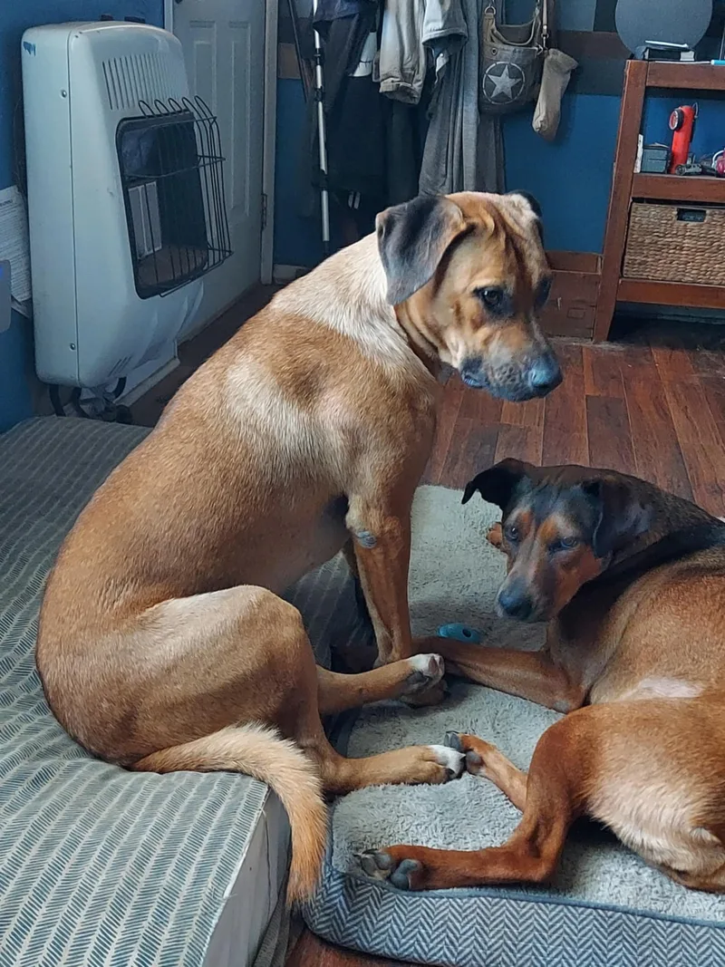 Luke Duke thumbnail 5