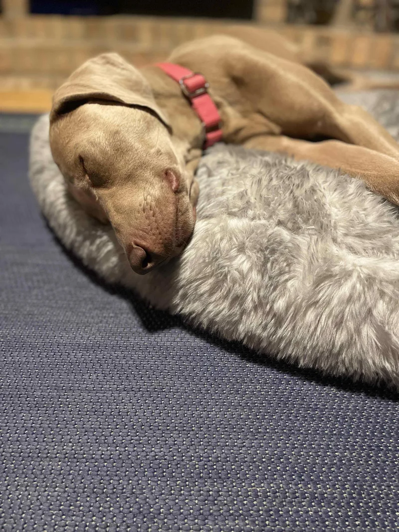 Murphy