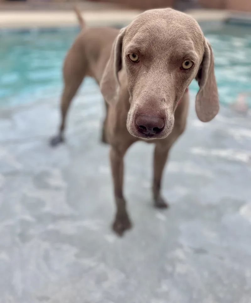 Murphy thumbnail 3