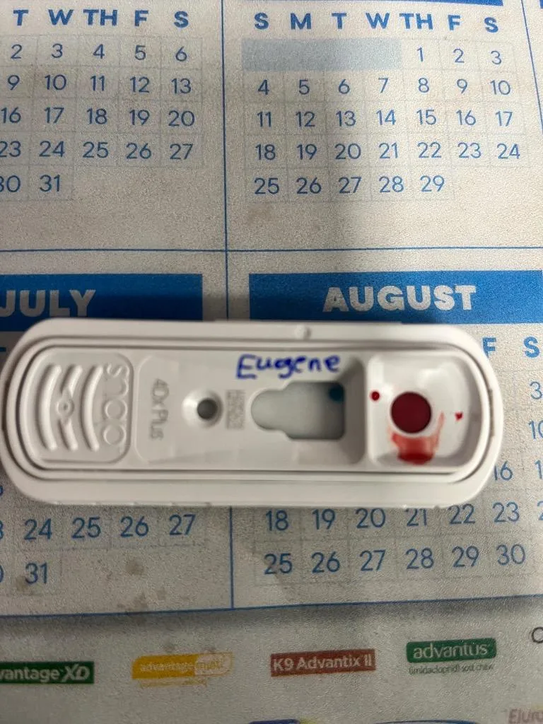 Eugene thumbnail 4
