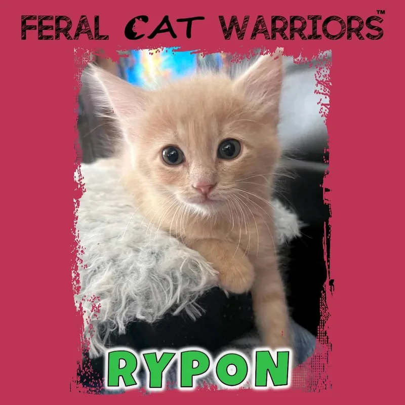 Rypon