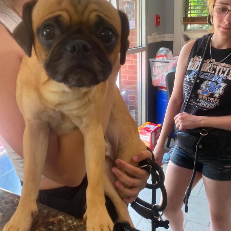 Wilfred Stray Hold