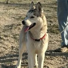 Pretty Boy thumbnail 2