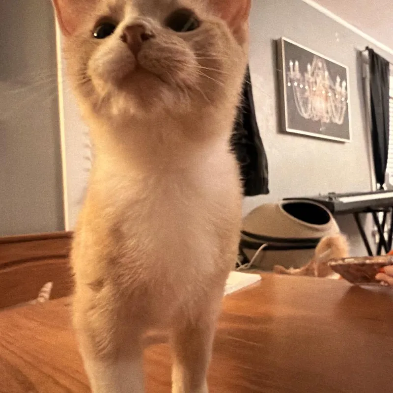 Sky Line thumbnail 2