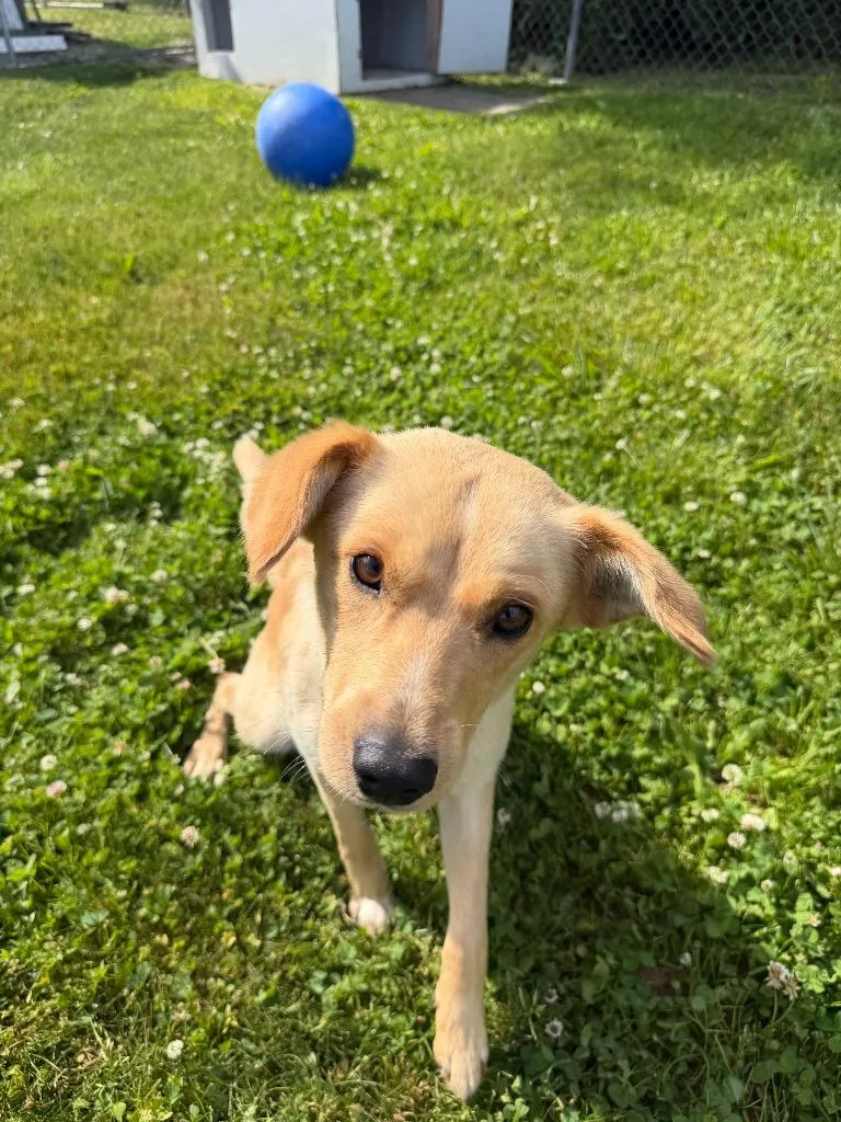 Jack