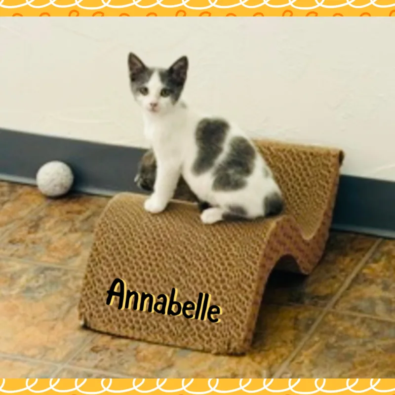 Anabelle thumbnail 3