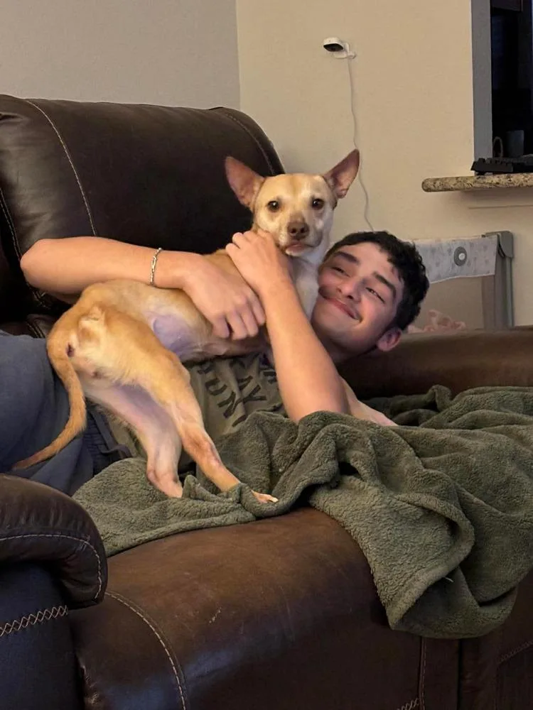 Penelope thumbnail 2