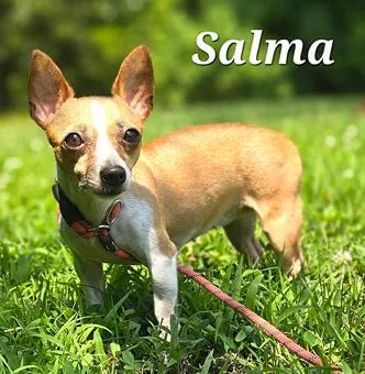 Salma thumbnail 2