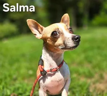 Salma thumbnail 3