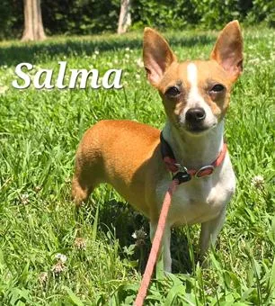 Salma thumbnail 4