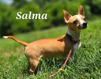 Salma thumbnail 5