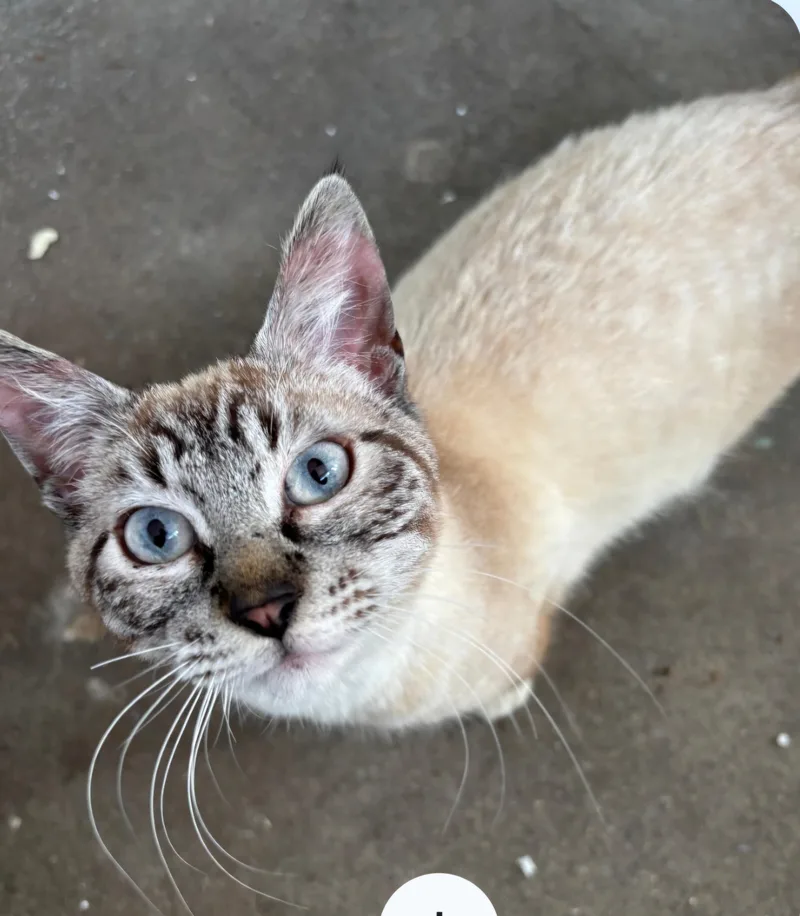 Isaac Rocks thumbnail 2