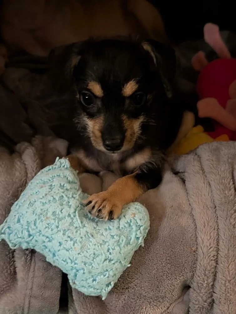 Winnie