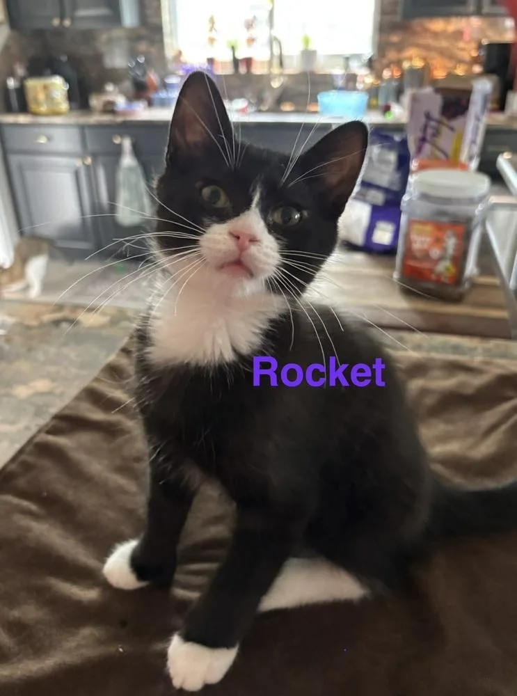 Rocket thumbnail 2
