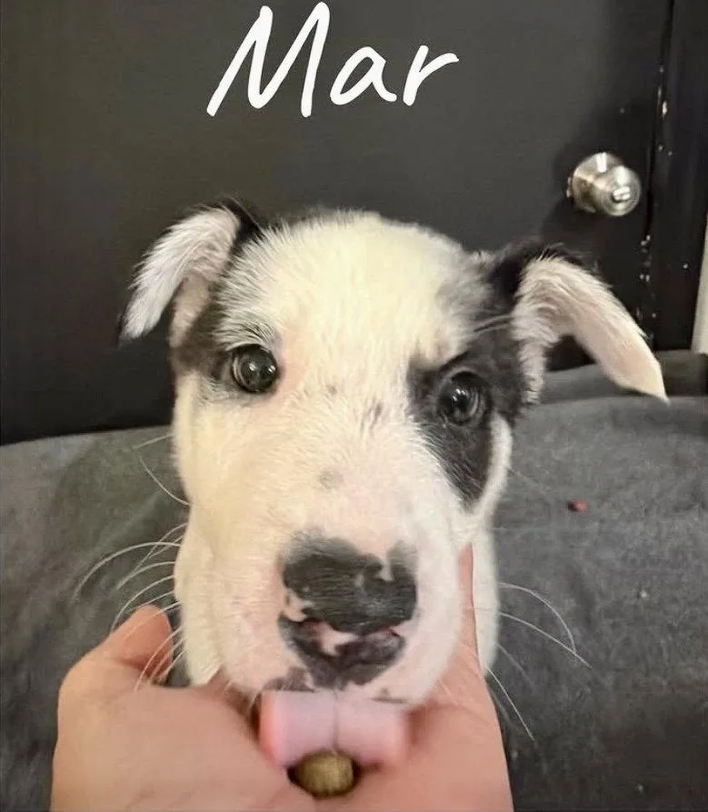 Mar