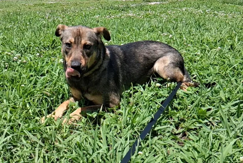 Tasha